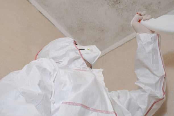 Best Post-Flood Mold Remediation in Republic, PA